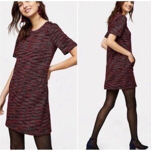 LOFT Burgundy and Black Knit/Tweed Shift Mini Dress